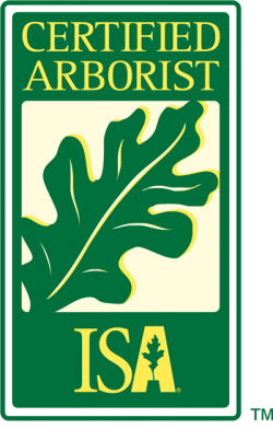 Certified Arborist - ISA Logo