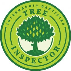 InterNACHI Tree Inspector Logo